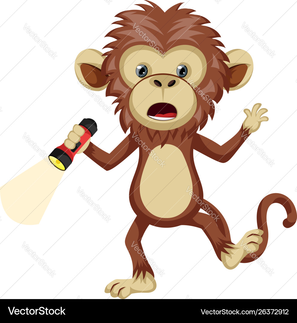 Monkey with flashlight on white background Vector Image