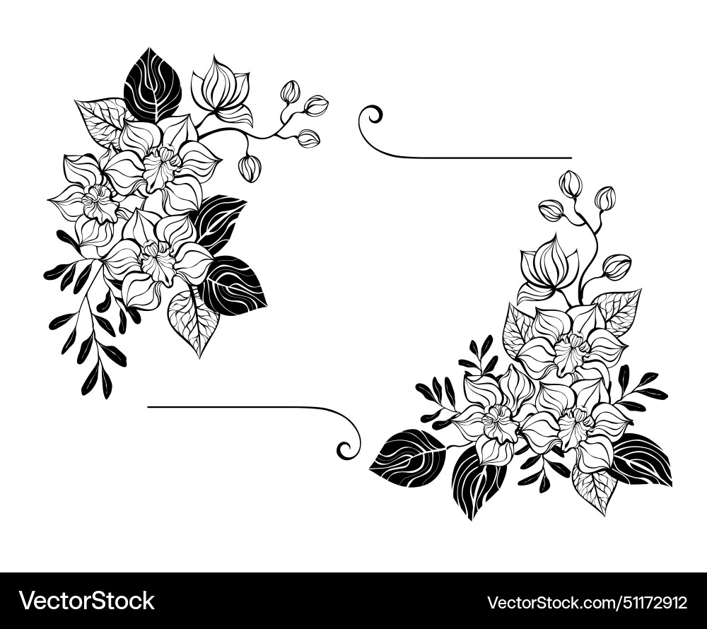 Rectangular composition with contour orchids Rectangular composition with contour orchids vector image
