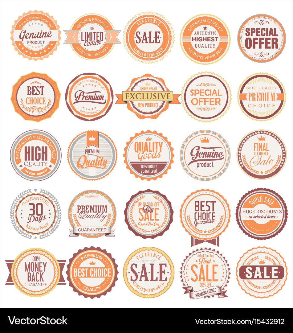 Retro Label & Badge Set vector image