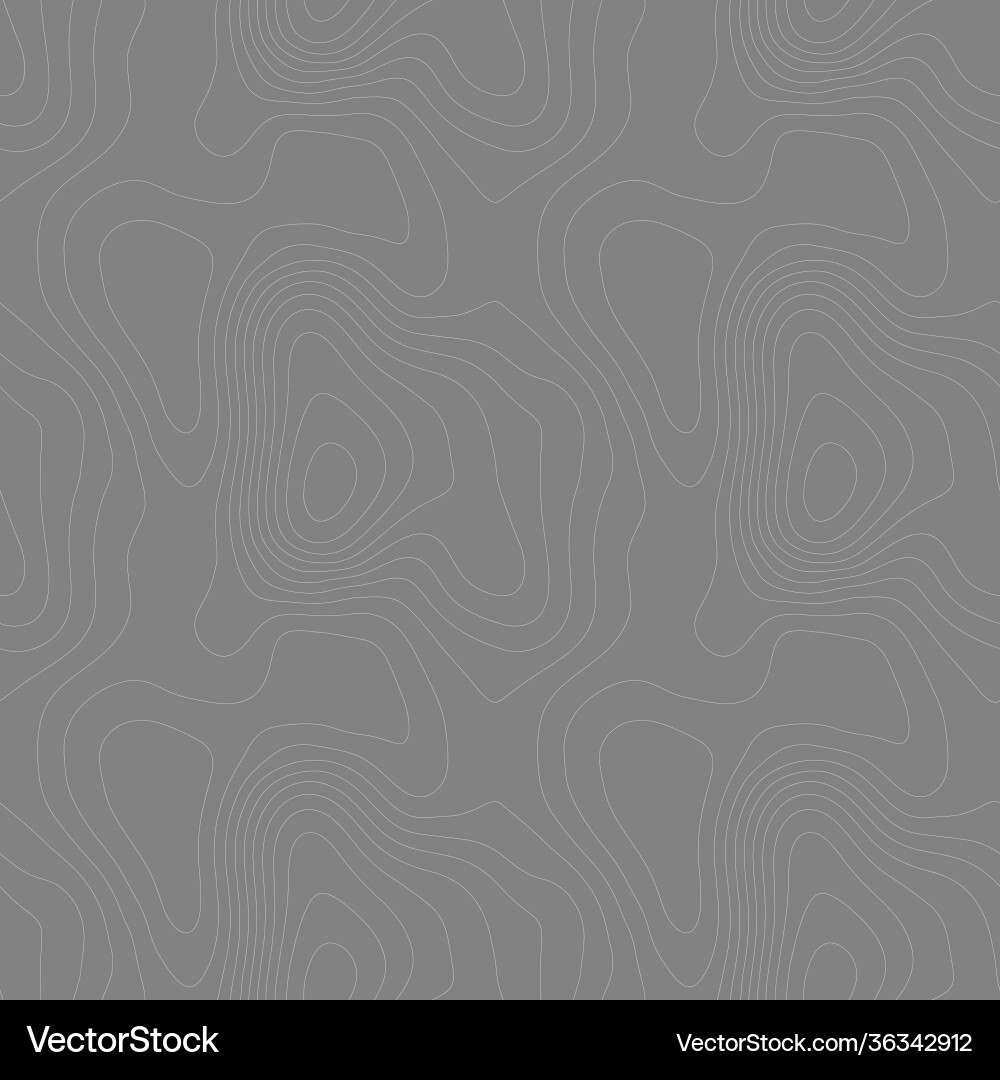 Topographic Line Pattern Vector Image