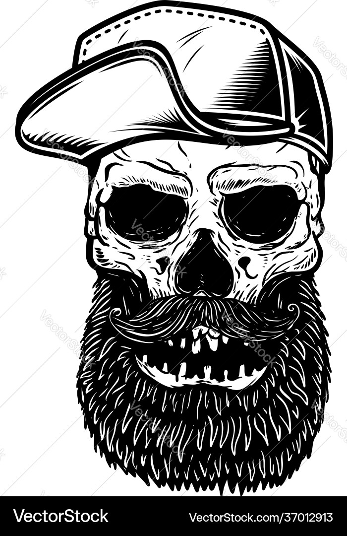 Bearded skull in baseball cap design element Bearded skull in baseball cap design element vector image