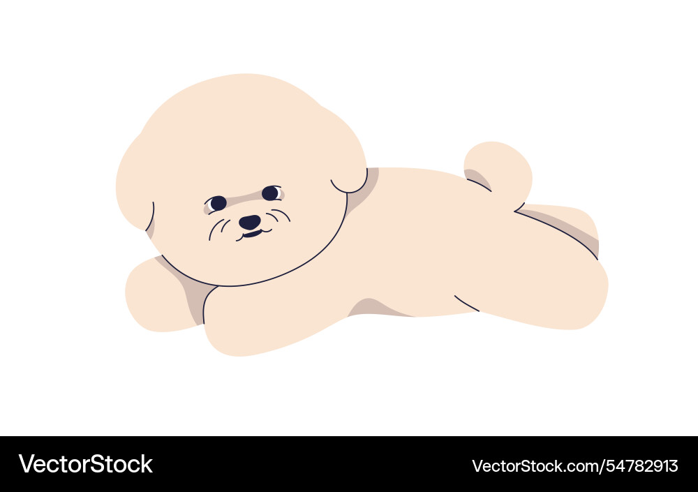 Bichon frise puppy lying cute fluffy canine Bichon frise puppy lying cute fluffy canine vector image