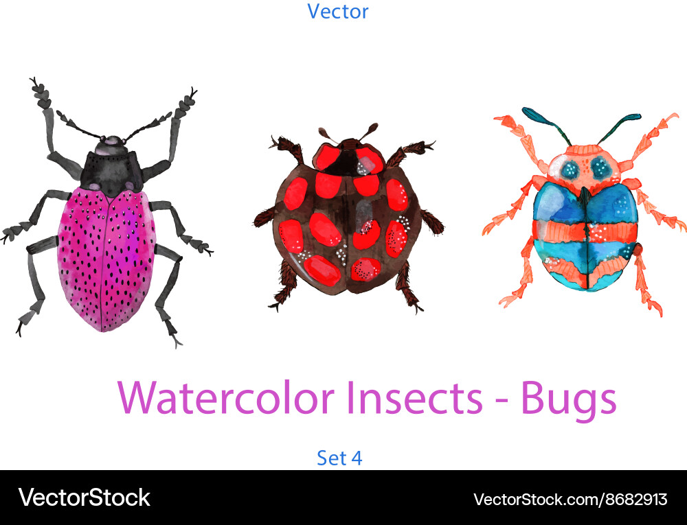 Set von handbemalten Aquarellbugs Vektorbild