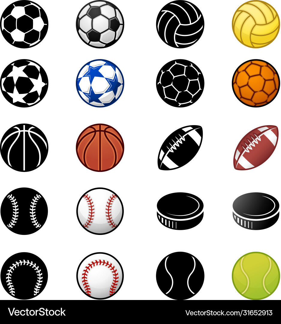 Sports Ball Icon Set vector image