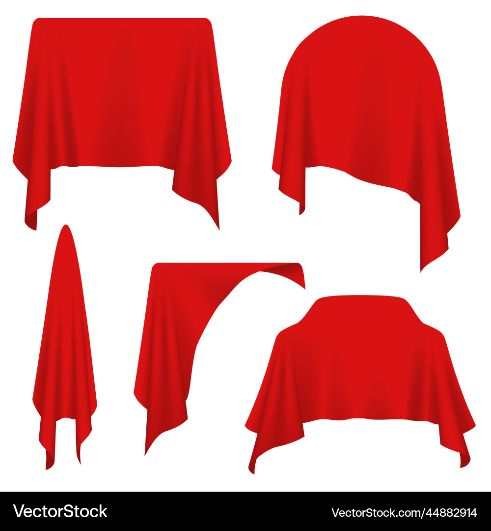 Different objects covered with red cloth vector image