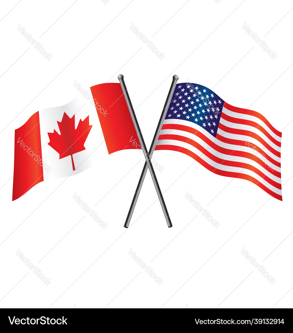 USA and Canada Flags - Alliance Royalty Free Vector Image