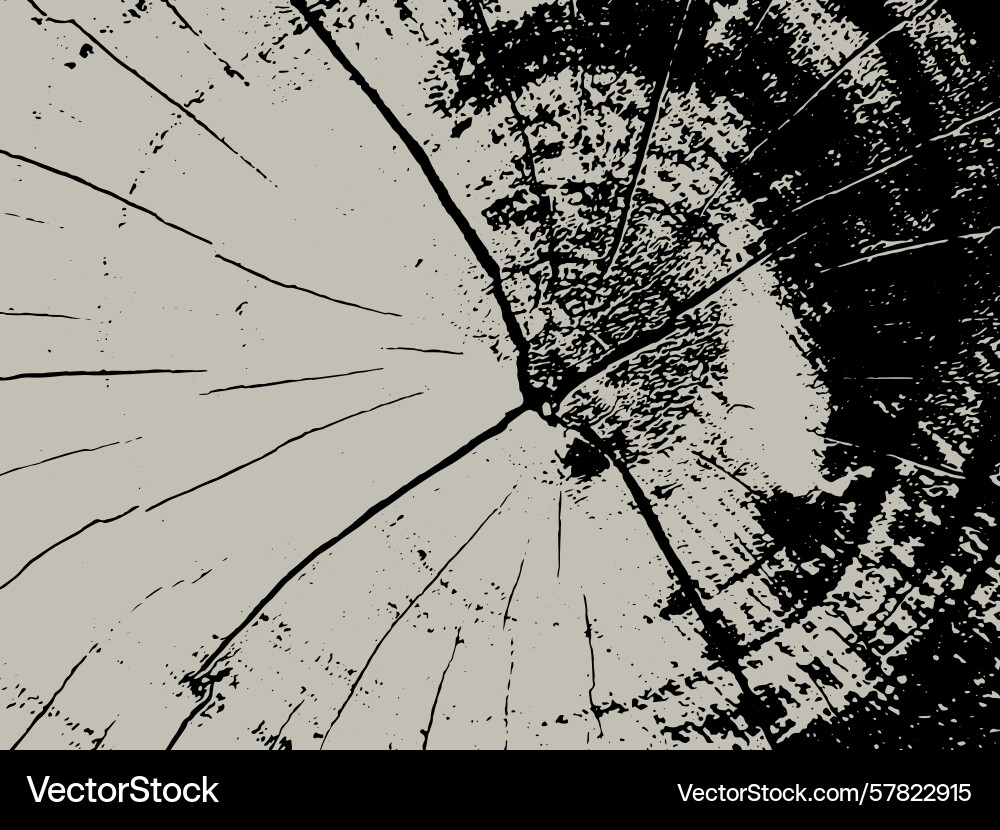 Abstract representation of a tree ring pattern Vector Image