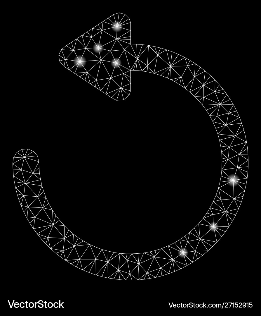 Flare mesh network rotate left with spots Flare mesh network rotate left with spots vector image