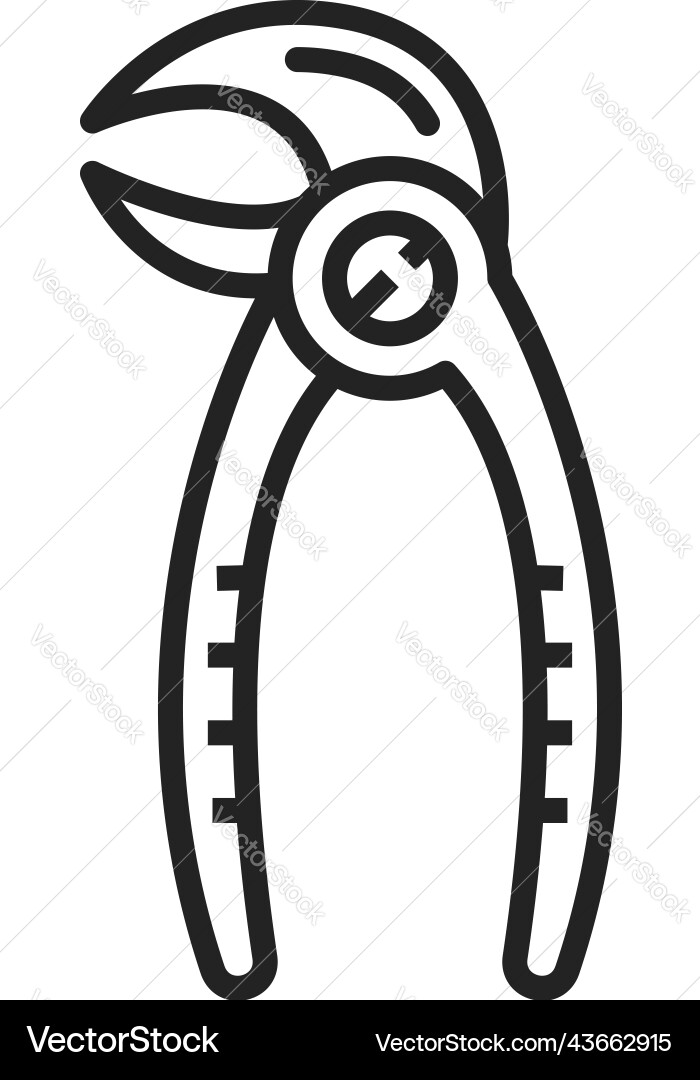 Forceps to extract tooth isolated dental pliers Forceps to extract tooth isolated dental pliers vector image