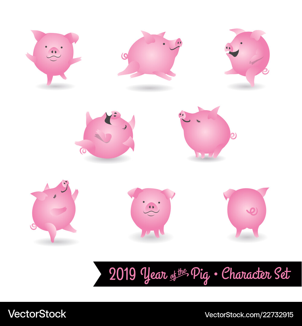 Set of pig characters for year Vector Image