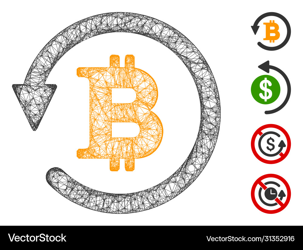 Bitcoin chargeback web mesh vector image