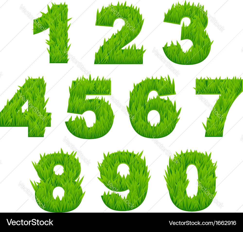 Grass Numbers and Digit Set vector image
