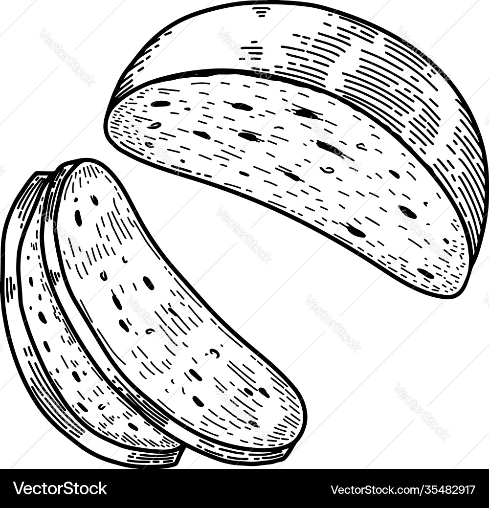 Bread in engraving style design element Vector Image