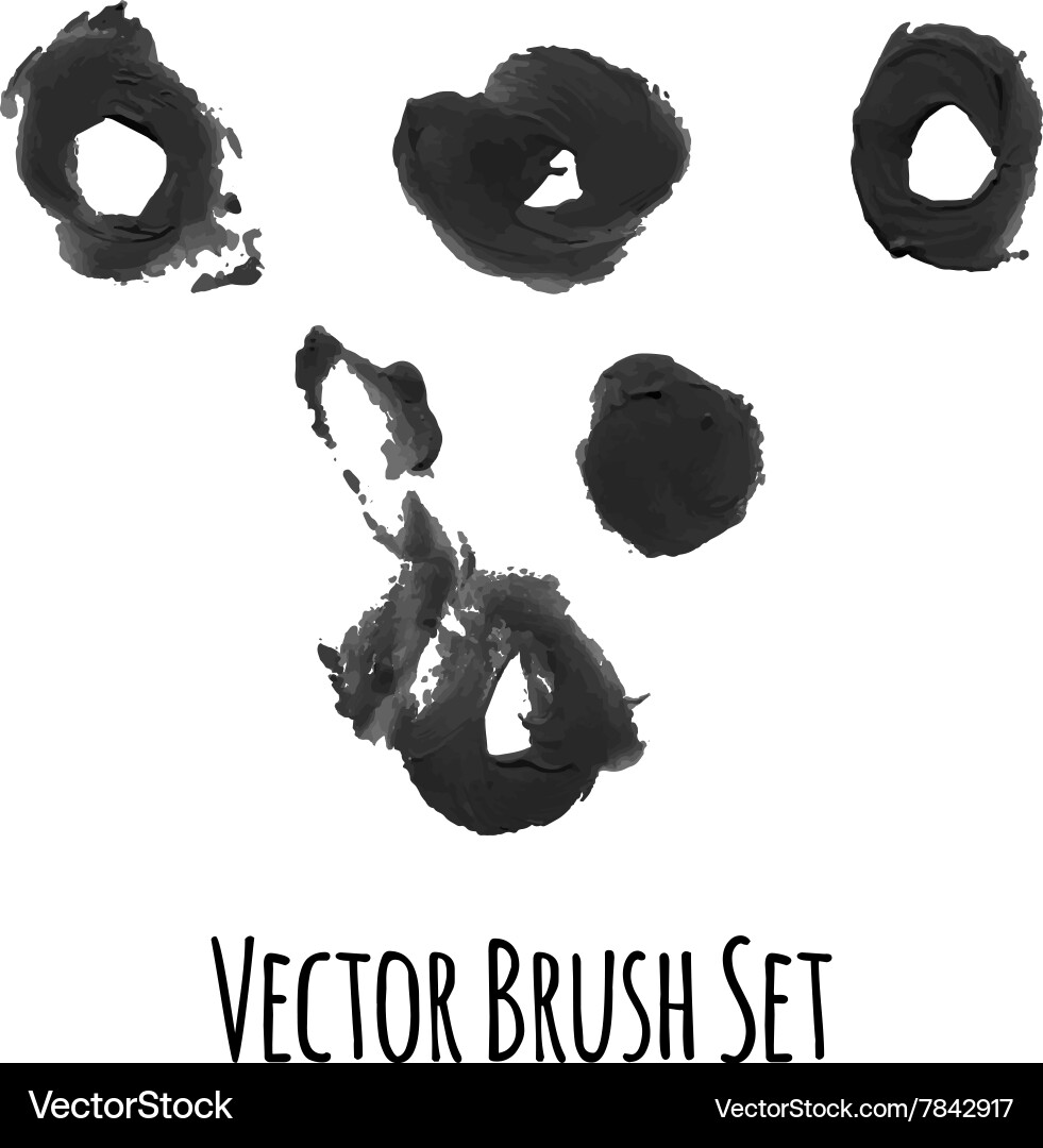 Set of brushes and traced elements vector image