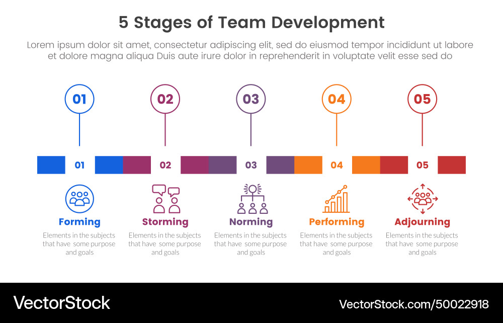 5 stages team development model framework Vector Image