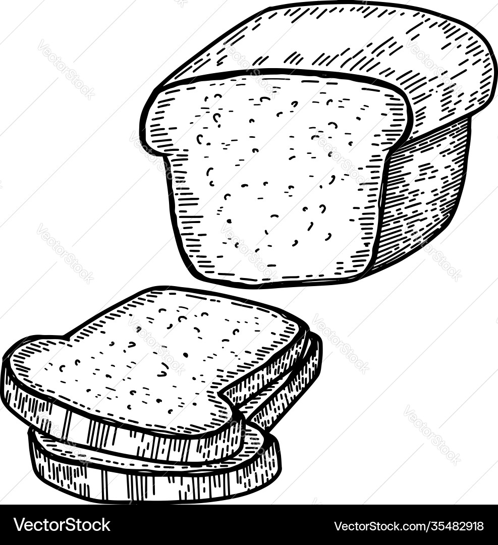 Bread in engraving style design element Vector Image