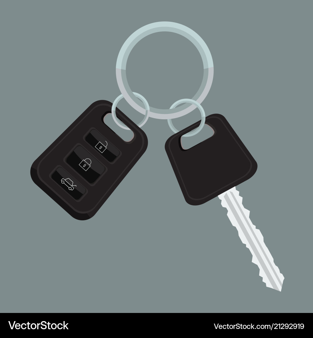 Car keys with flat and solid color design vector image