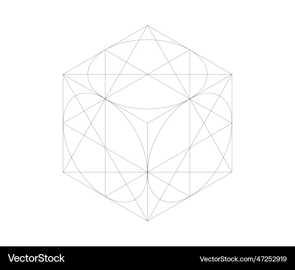 Isometric drawing of a cube with circles inscribed Isometric drawing of a cube with circles inscribed vector image