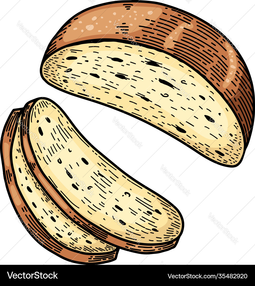 Bread in engraving style design element Vector Image