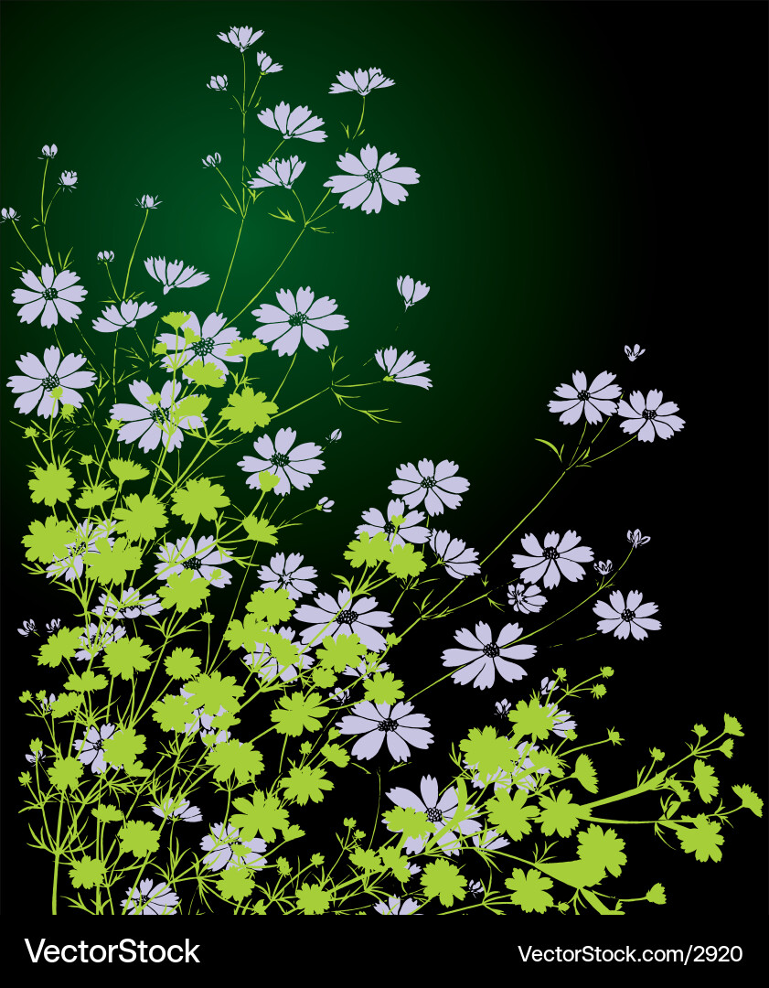 Delicate Floral Arrangement Vector Image