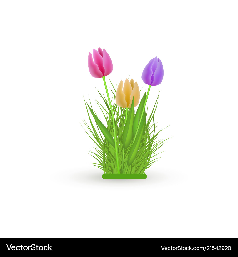 Frühling Blumen Tulpe Bündel mit frischen bunten Frühling Blumen Tulpe Bündel mit frischen bunten vektorbild