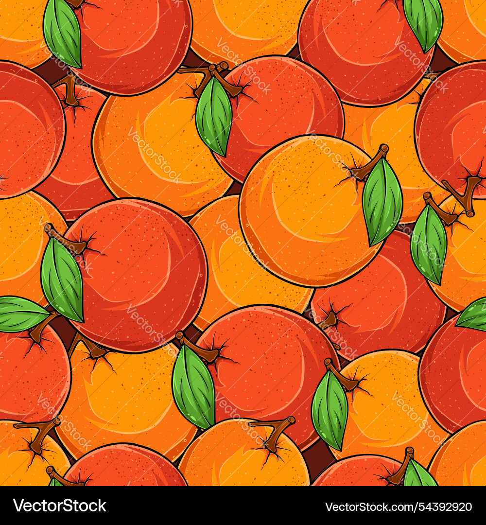 Hand drawn seamless pattern of multiple oranges vector image