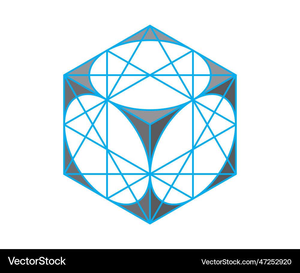 Isometric drawing of a cube with circles inscribed Isometric drawing of a cube with circles inscribed vector image