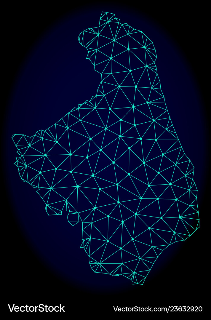 Polygonal network mesh abstract map Vector Image