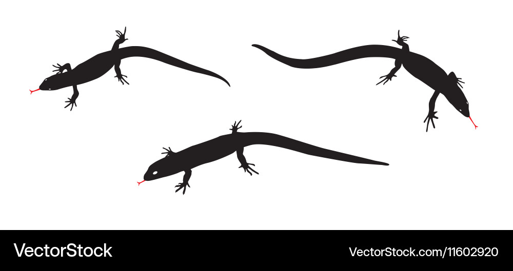 Set of black and white silhouette lizard Vector Image