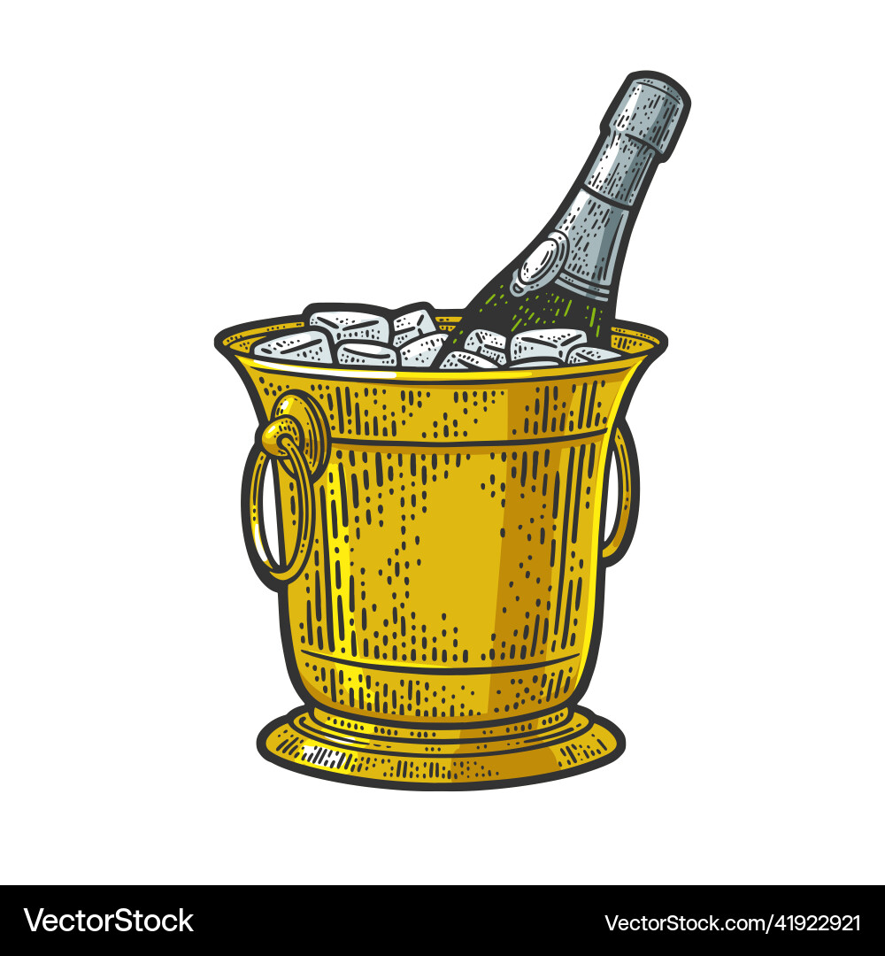 Champagne in an ice bucket line art color sketch Vector Image