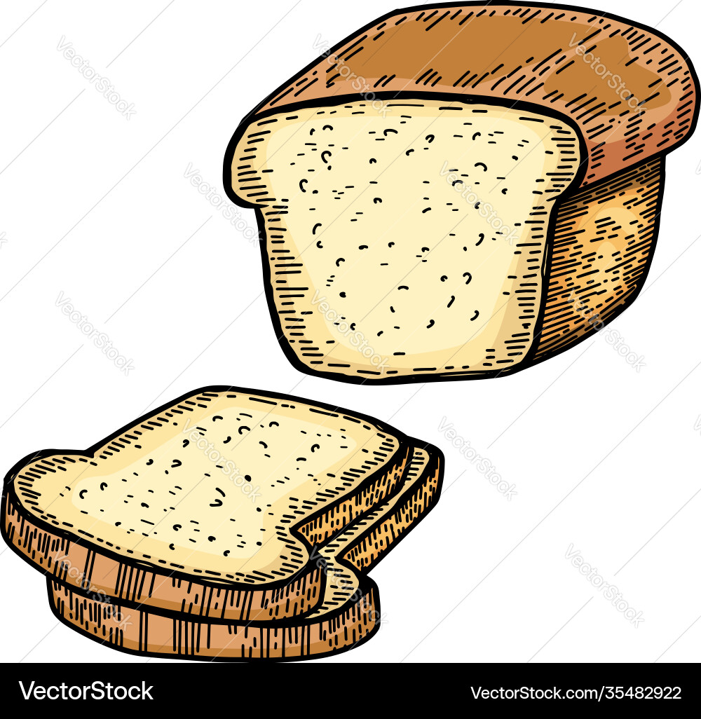 Bread in engraving style design element Vector Image