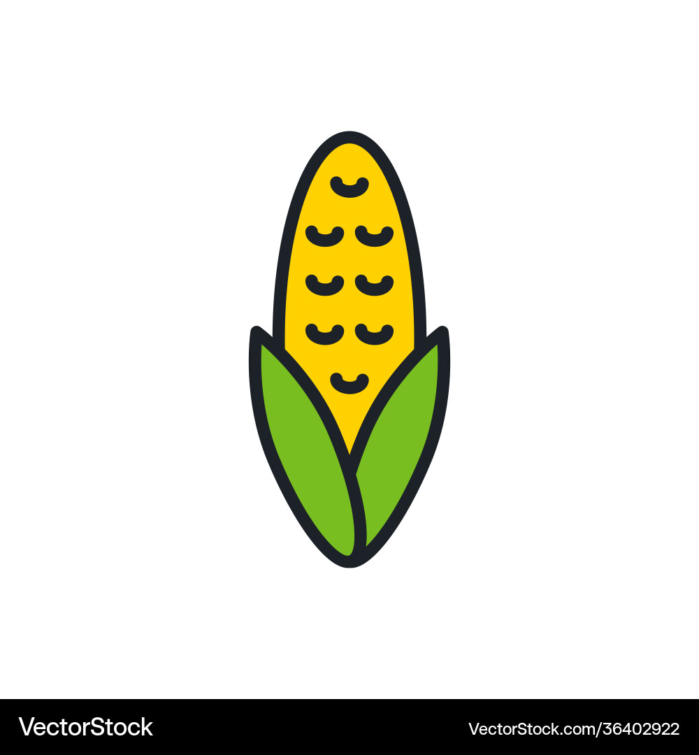 Corn icon linear color contour shape Corn icon linear color contour shape vector image