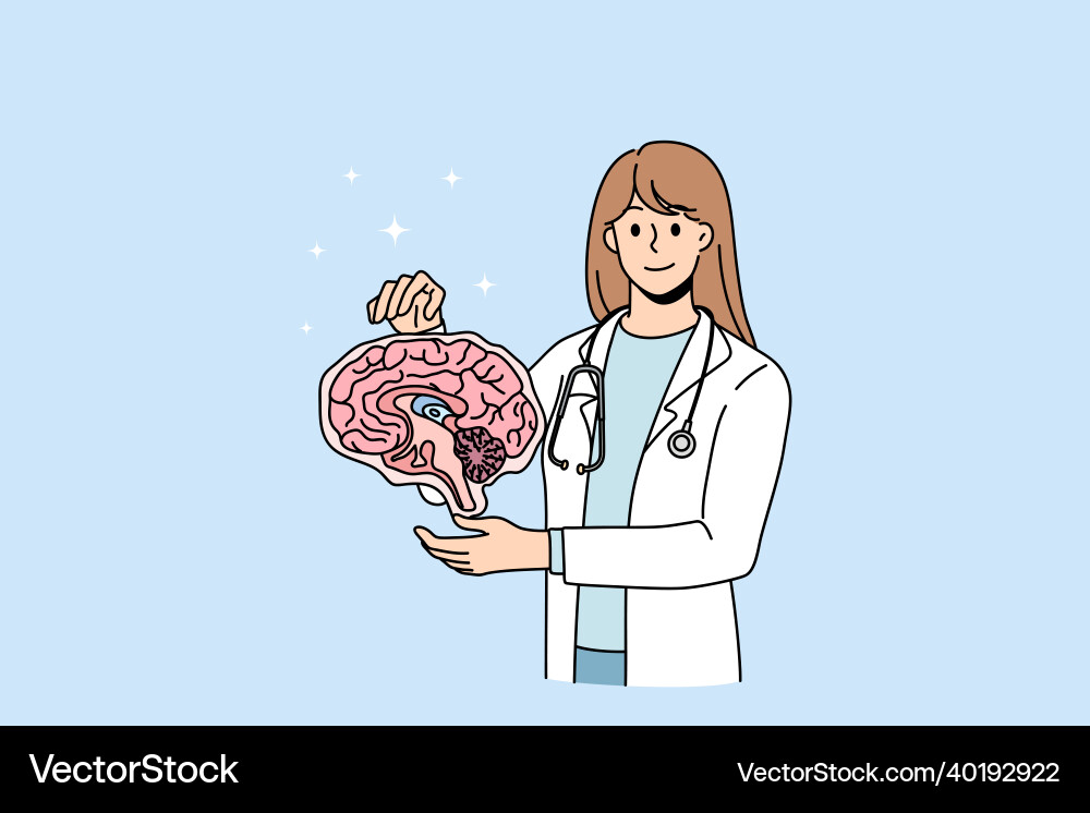 Neuroscientist Examining Brain Model Vector Image