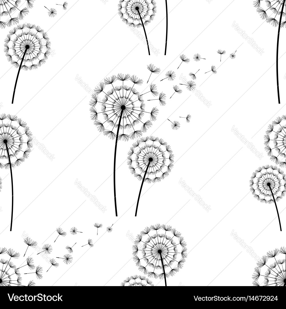 Dandelion Fluff Pattern Vector Image
