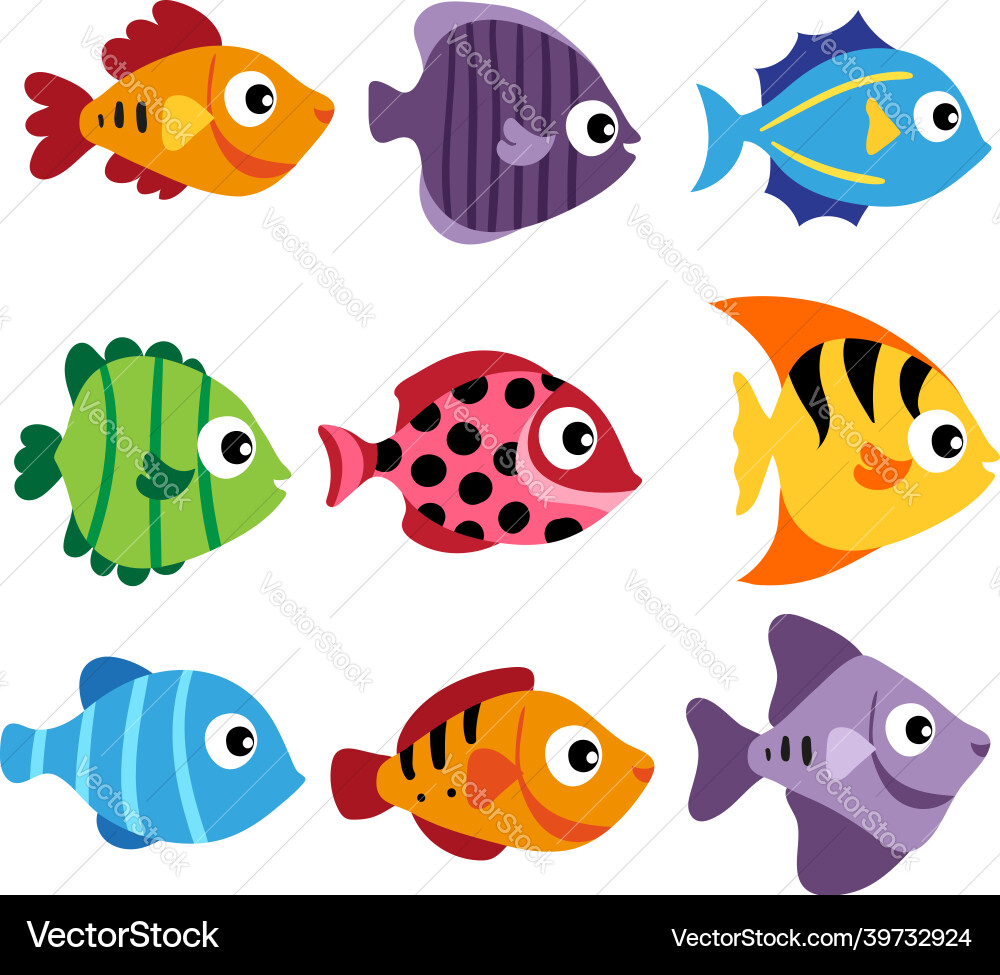 Fish matching game design Fish matching game design vector image
