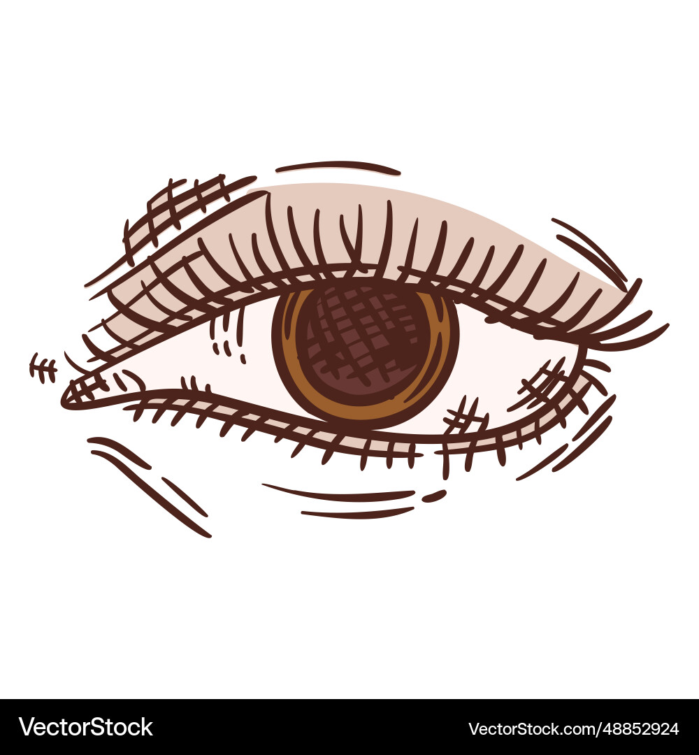 Frontal brown eye color hand drawn Frontal brown eye color hand drawn vector image