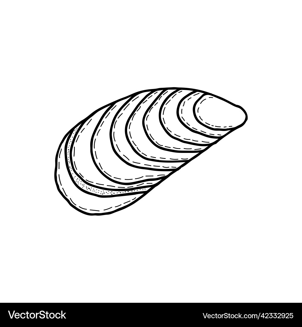 Hand-drawn seashell spiral with a texture of many Hand-drawn seashell spiral with a texture of many vector image