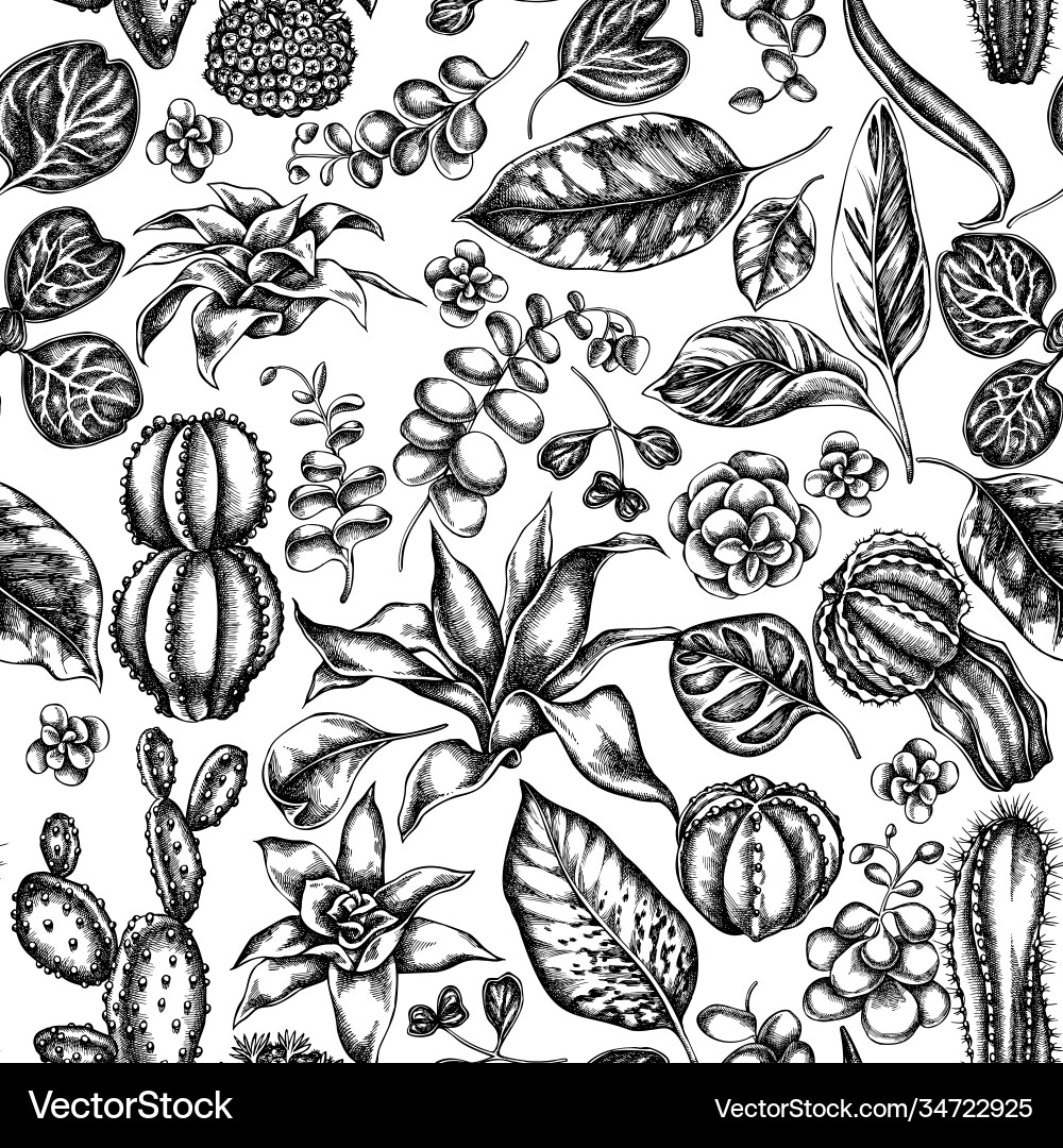 Seamless pattern with black and white ficus Vector Image