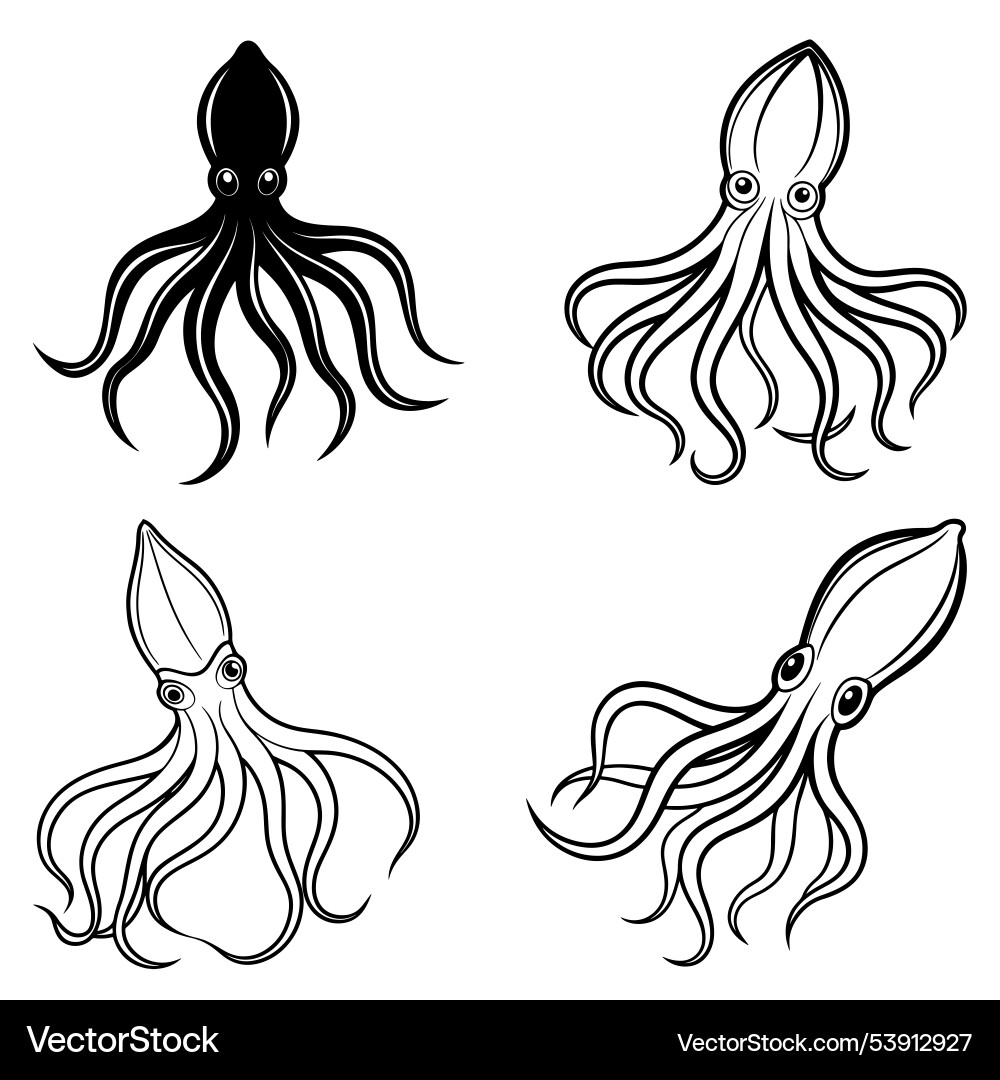 3d rendering of dynamic squid silhouette line art 3d rendering of dynamic squid silhouette line art vector image