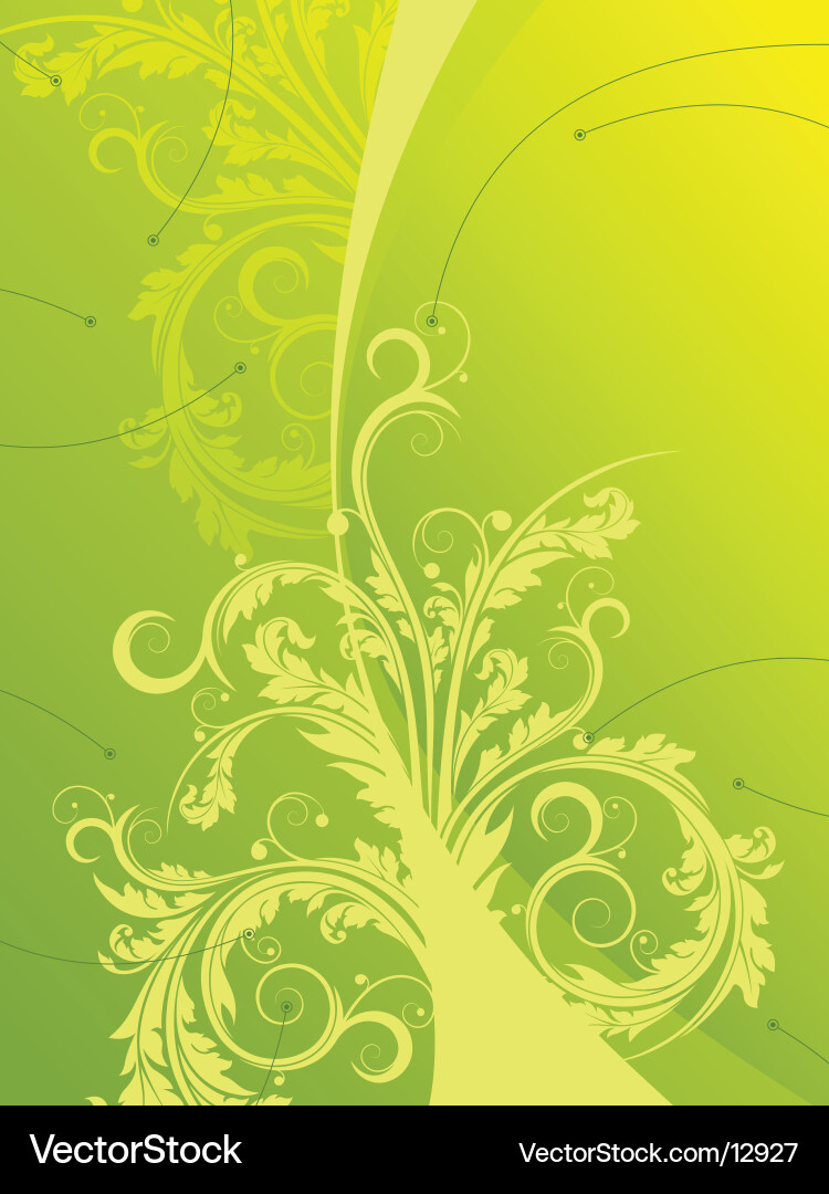Baroque Floral Patterns Vector Image