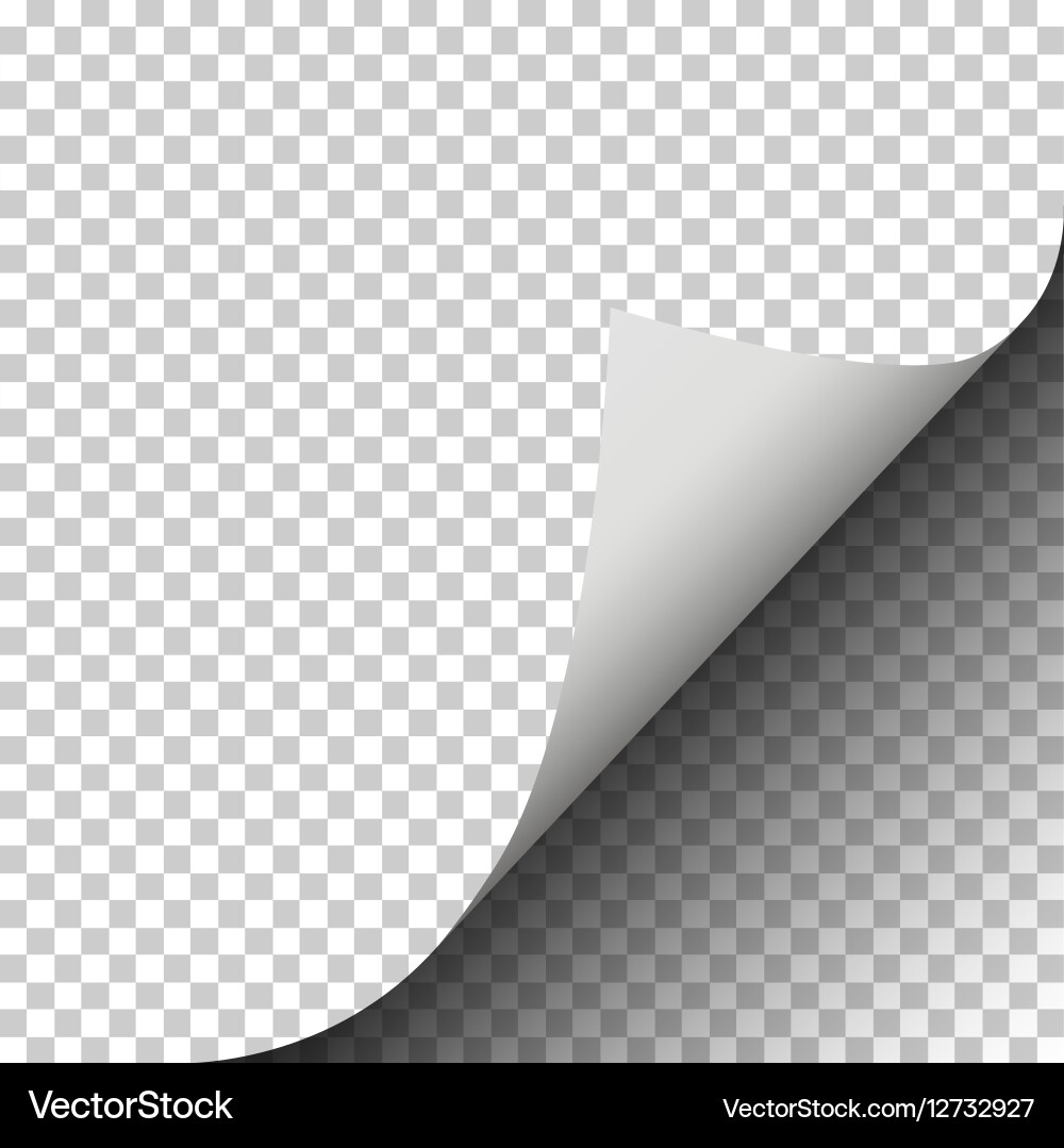 Page Curl with Paper Shadow vector image
