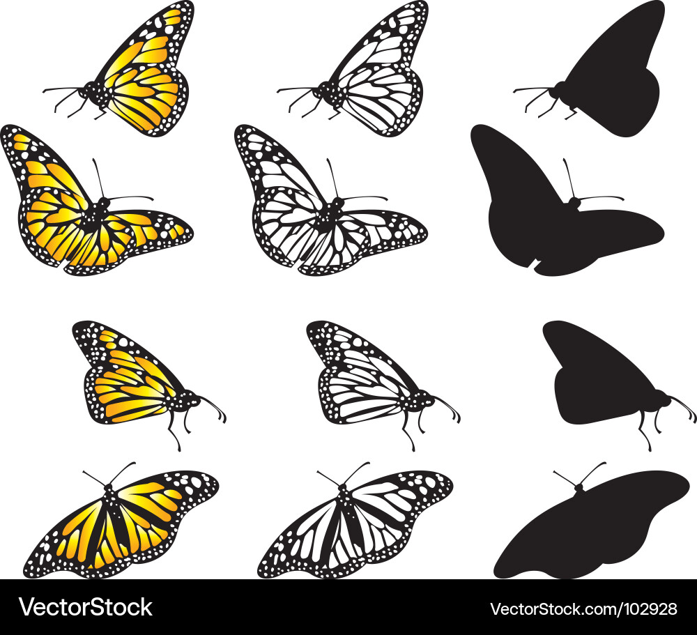 Butterfly Collection vector image