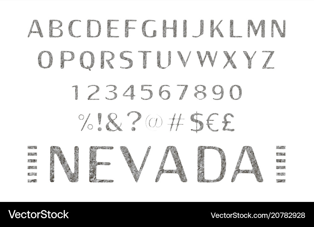 Font alphabet script typeface Font alphabet script typeface vector image