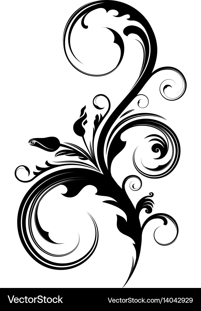 Elegant Scroll Pattern vector image