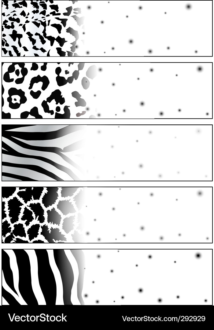 Zebra Muster Banner Sammlung Vektorbild