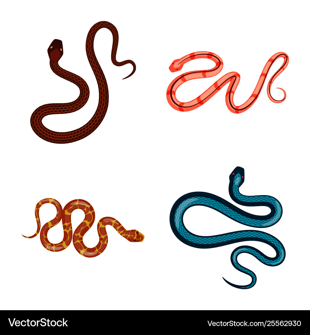 Isolated object poison and evil symbol Isolated object poison and evil symbol vector image