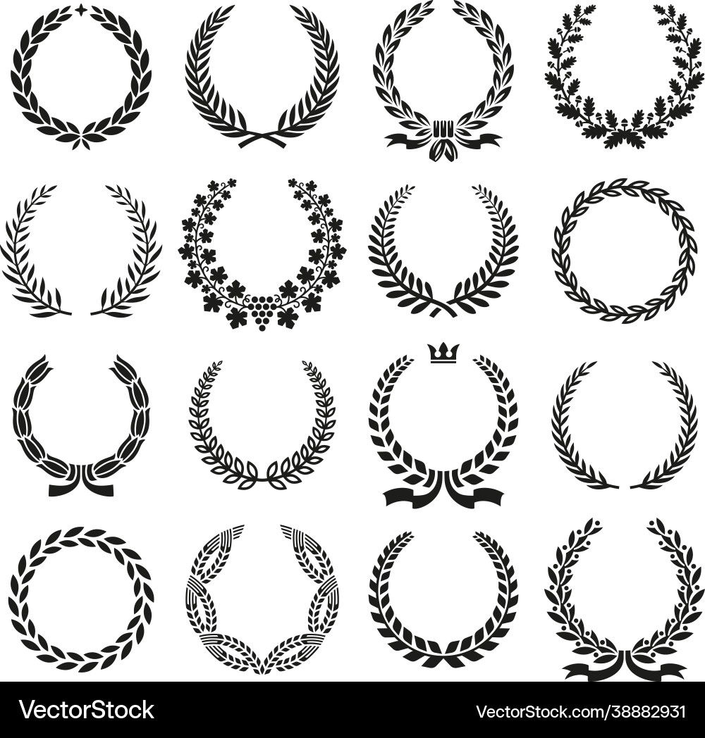Laurel wreaths crest wreath laurels leaves Laurel wreaths crest wreath laurels leaves vector image