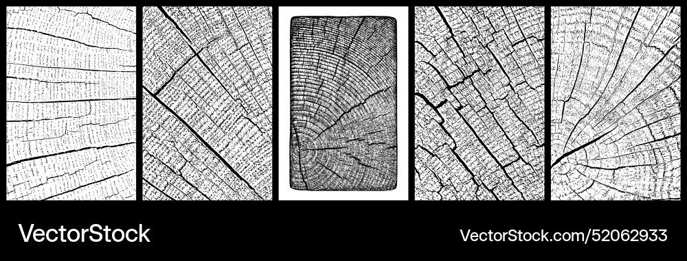 Set of distressed wood texture Set of distressed wood texture Vector Image
