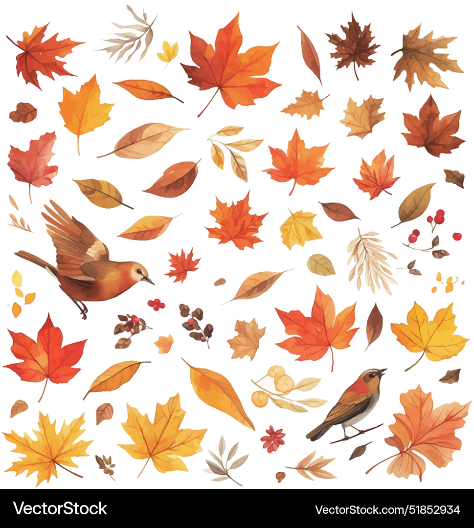 Autumn Leaves and Flowers Vector Image
