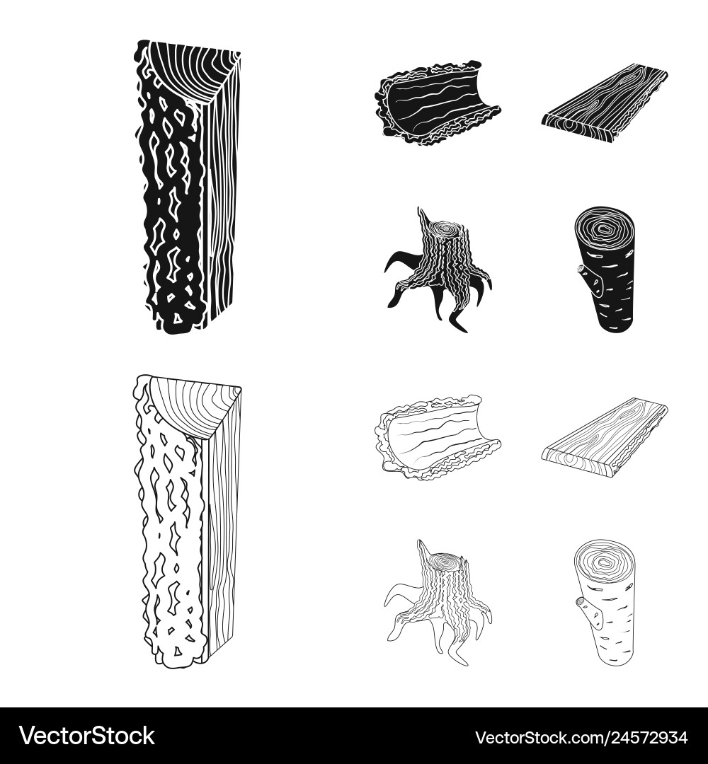 Isolated object of tree and raw logo collection vector image